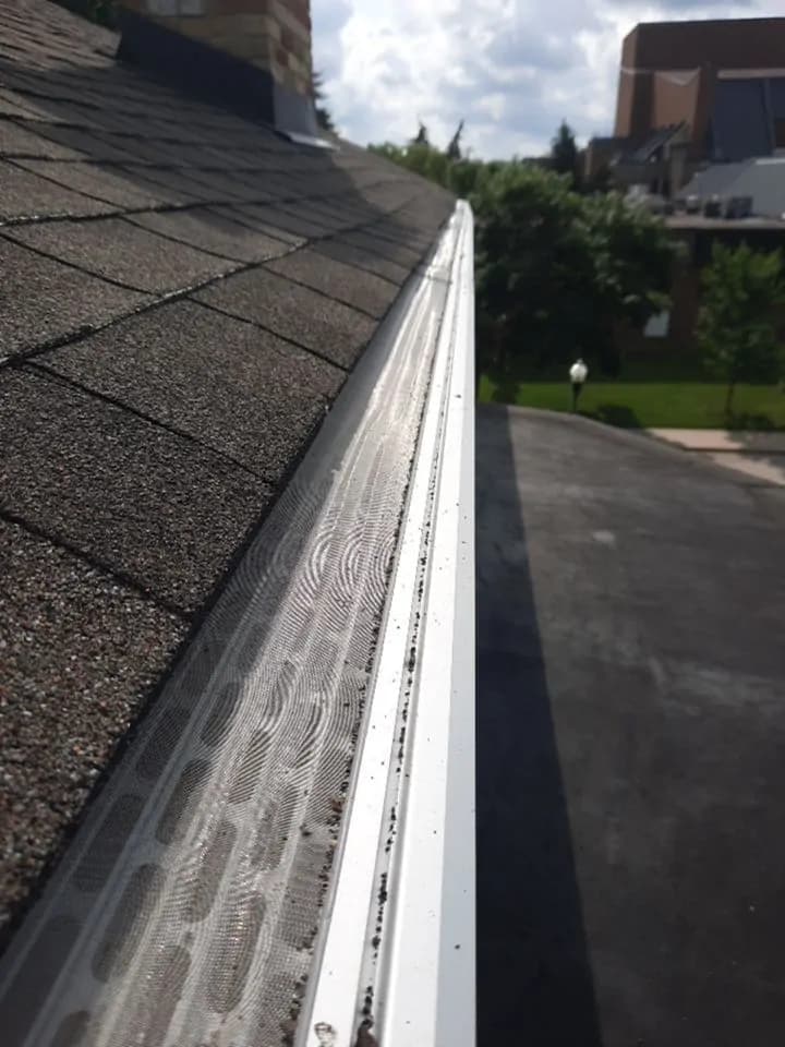 EavesArmour Surgical-Grade Stainless Steel Micro-Mesh Close-up