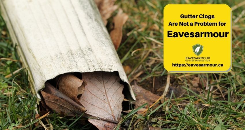 EavesArmour-ROOF & GUTTER cleaning-system of EAVESARMOURCanada-647-931-0441 info@eavesarmour.ca
