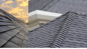 Roofing & Gutter guards