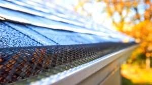 How to maintain your gutters?