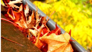 Ultimate Guide to Leaf Gutter Guards: How to Choose, Install, and Maintain the Best Gutter Protection System for a Leaf-Free Home