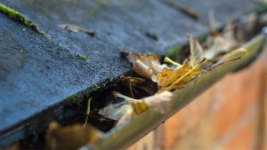 LeafFilter Gutter Protection: Safeguard Mississauga,Ontario