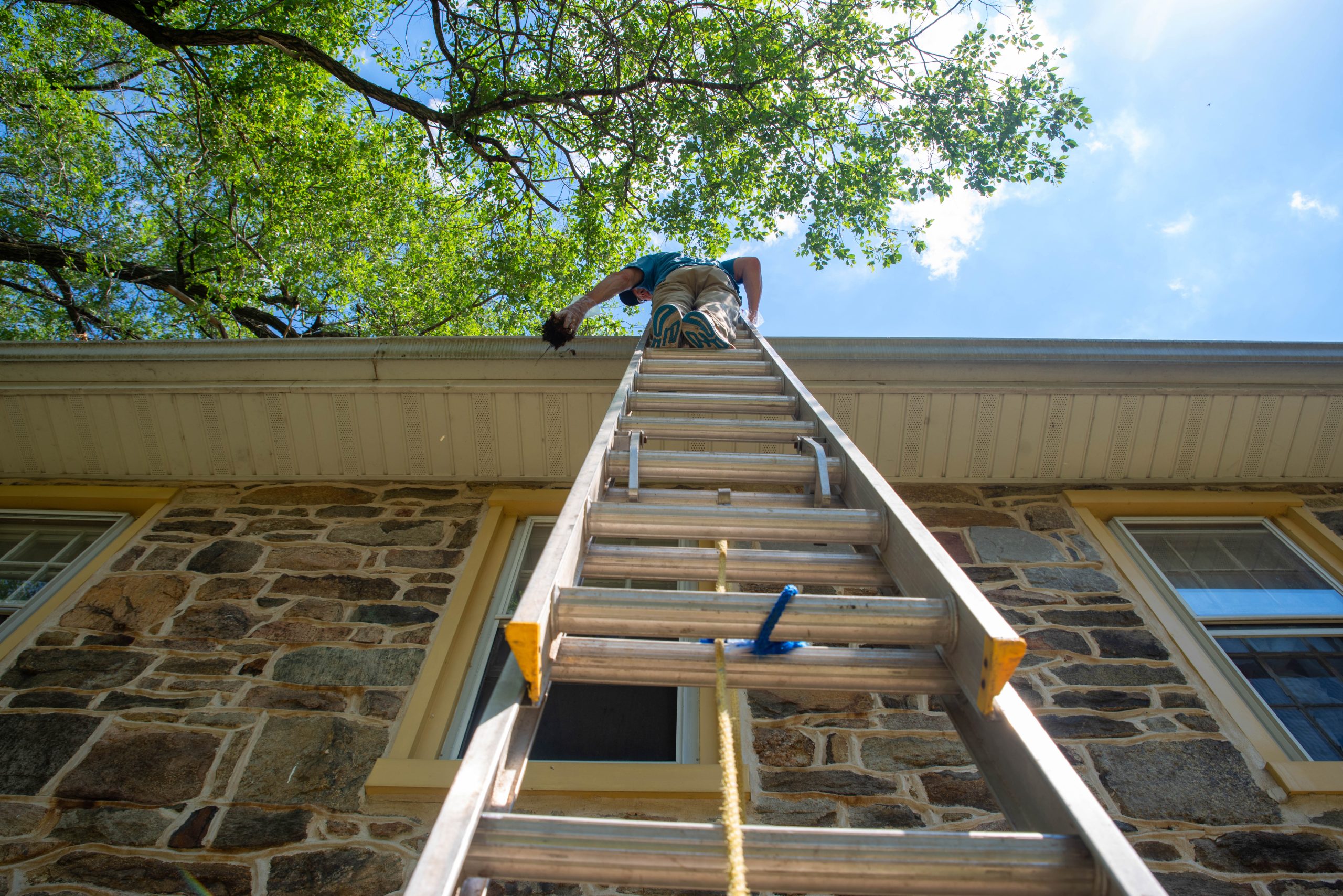 Professional gutter cleaning service cost depends on the size and layout of the house. 