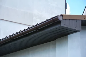 Common Gutter Guard Myths Debunked